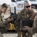 Medical Soldiers train with military working dogs