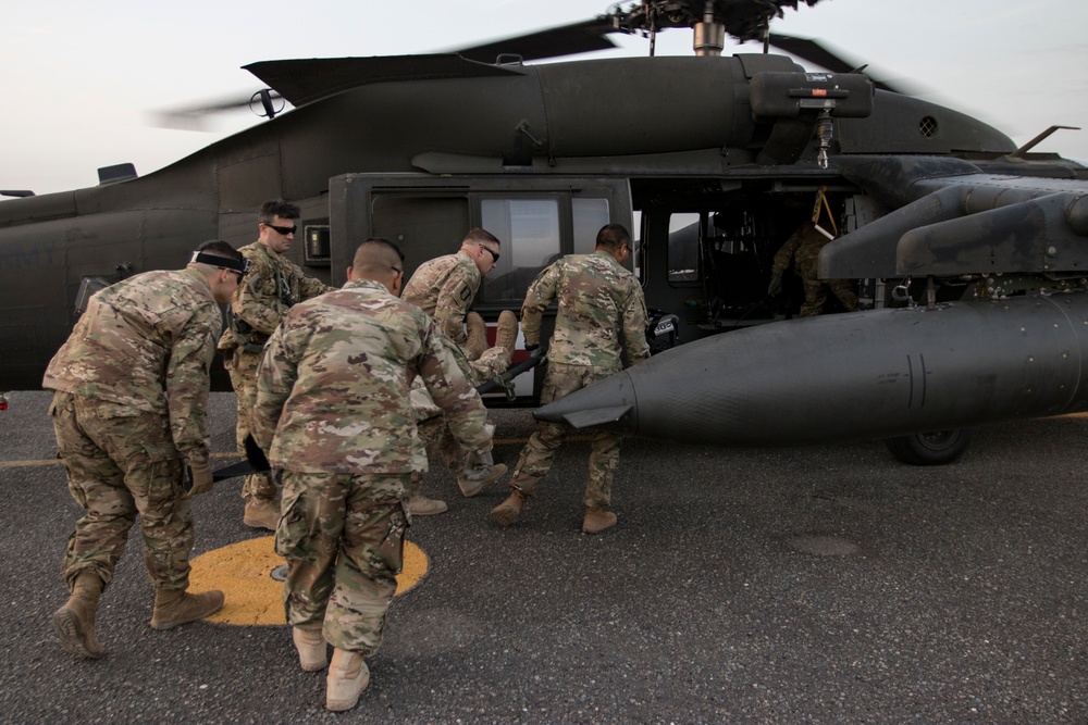 Medical Soldiers train with military working dogs