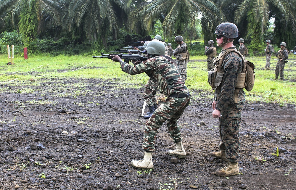 Cameroon, US gain trust, enhance military capability during training