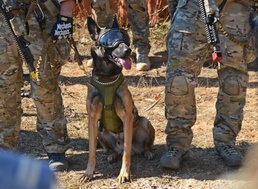 MWD performs demo for SecDef