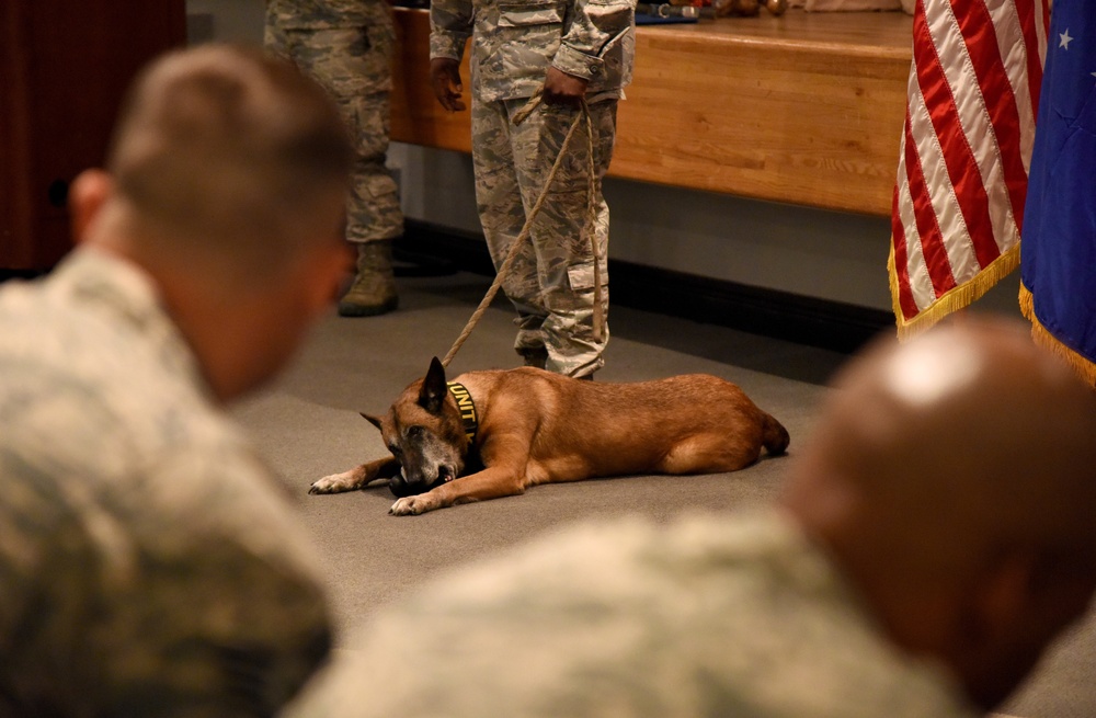 2 MWDs retire and find homes with their handlers