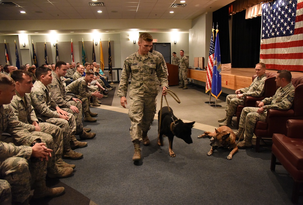 2 MWDs retire and find homes with their handlers