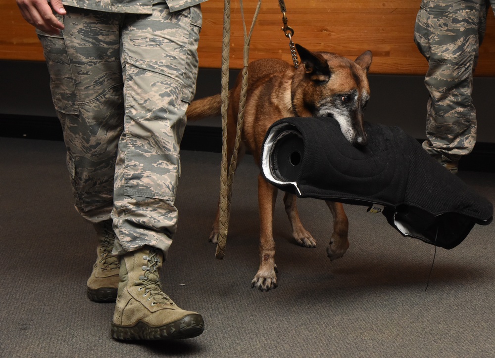 2 MWDs retire and find homes with their handlers