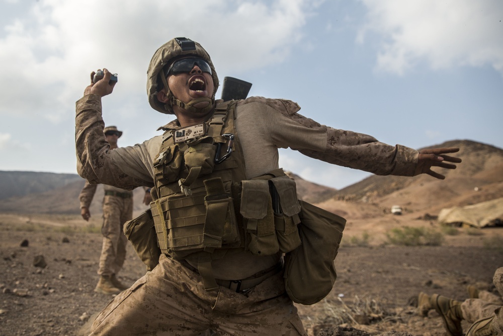 11th MEU's BLT 1/4 Sustains Capabilities in Djibouti for Exercise Alligator Dagger