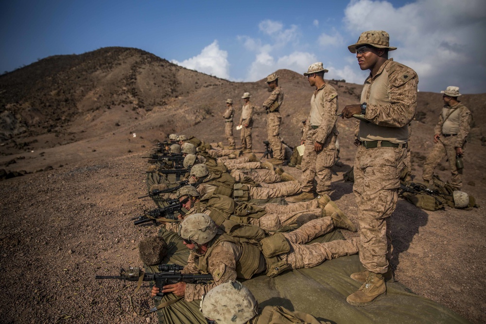 11th MEU's BLT 1/4 Sustains Capabilities in Djibouti for Exercise Alligator Dagger