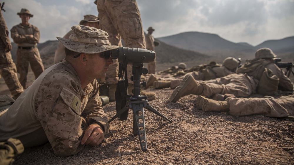 11th MEU's BLT 1/4 Sustains Capabilities in Djibouti for Exercise Alligator Dagger