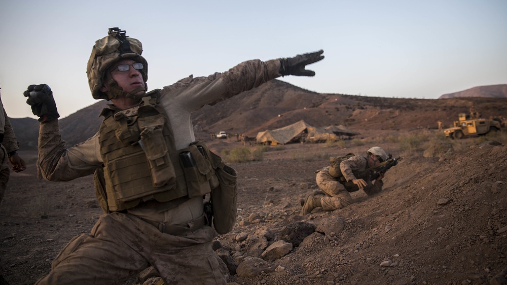11th MEU's BLT 1/4 Sustains Capabilities in Djibouti for Exercise Alligator Dagger