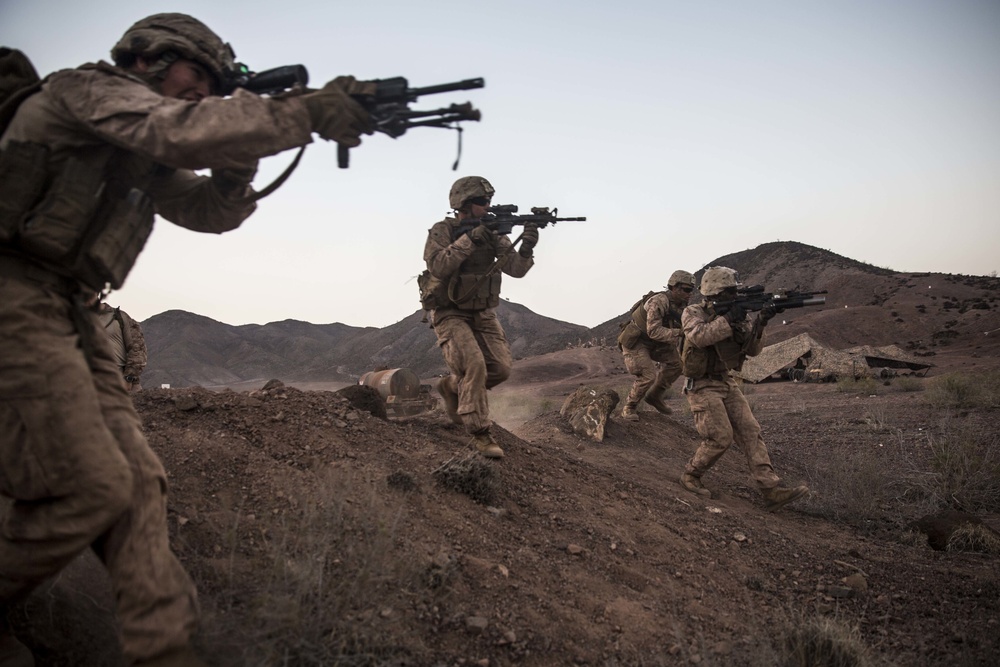 11th MEU's BLT 1/4 Sustains Capabilities in Djibouti for Exercise Alligator Dagger