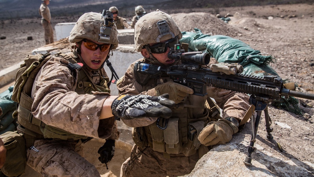 11th MEU's BLT 1/4 Sustains Capabilities in Djibouti for Exercise Alligator Dagger