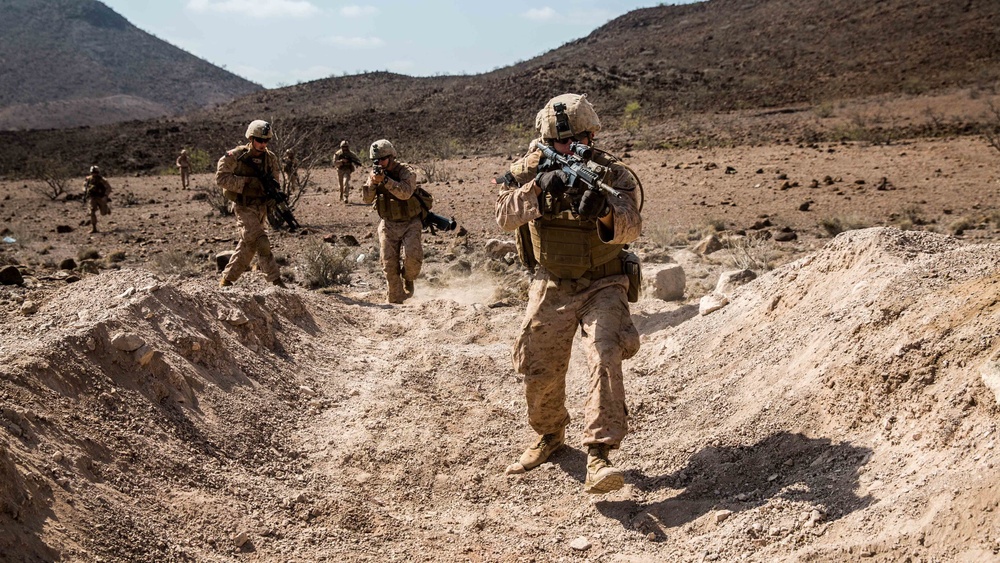 11th MEU's BLT 1/4 Sustains Capabilities in Djibouti for Exercise Alligator Dagger
