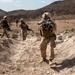 11th MEU's BLT 1/4 Sustains Capabilities in Djibouti for Exercise Alligator Dagger