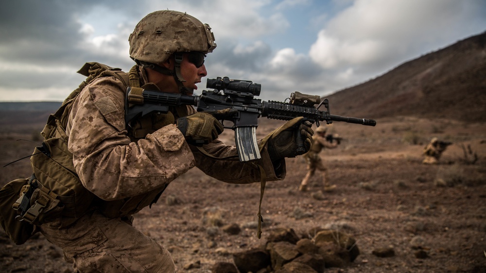 11th MEU's BLT 1/4 Sustains Capabilities in Djibouti for Exercise Alligator Dagger