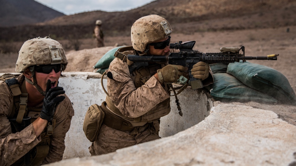 11th MEU's BLT 1/4 Sustains Capabilities in Djibouti for Exercise Alligator Dagger