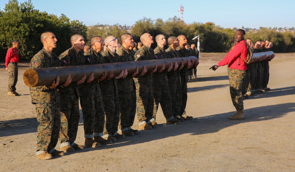 Delta Company Log Drills