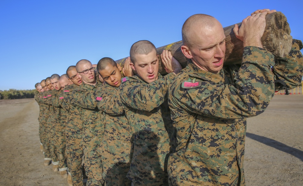 Delta Company Log Drills