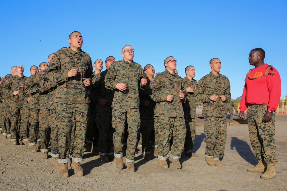 Delta Company Log Drills