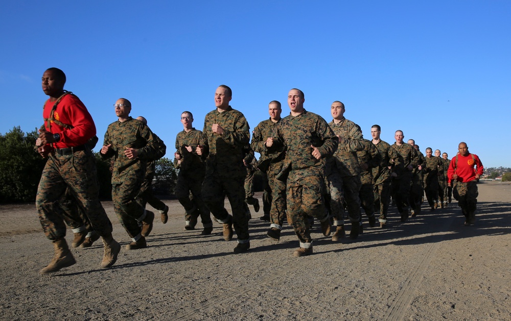 Delta Company Log Drills