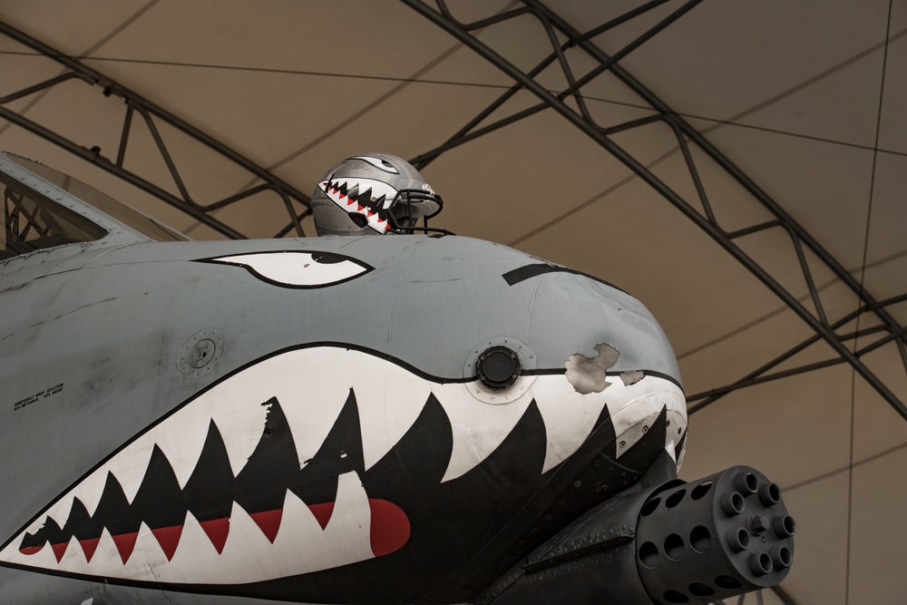 Flying Tigers helmet