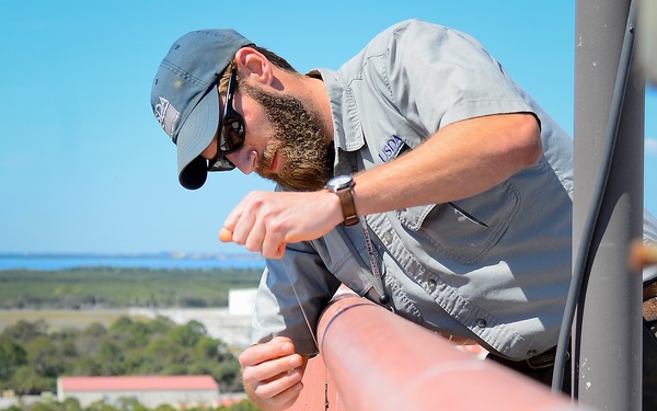 A bad day to be a bird