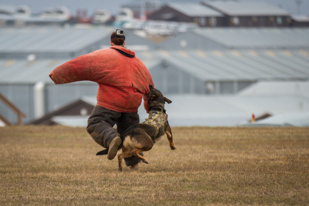 Training with MWDs