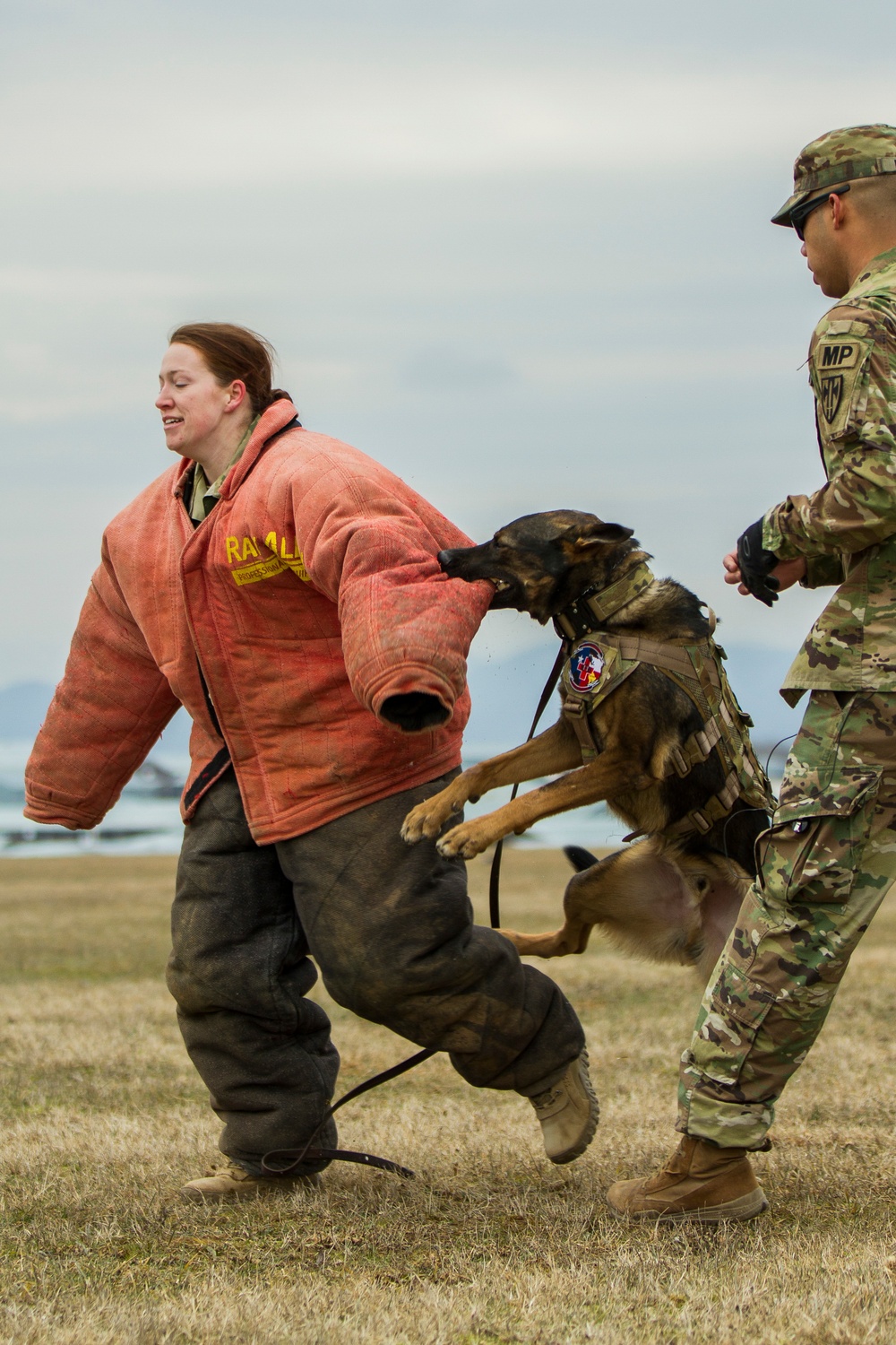 Training gets Ruff