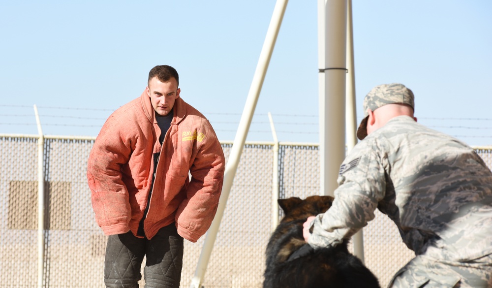 379 ESFS working dogs demonstrate excellence