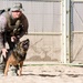 379 ESFS working dogs demonstrate excellence