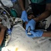 Every move counts for JTF-Bravo’s Mobile Surgical Team