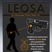 LEOSA info graph