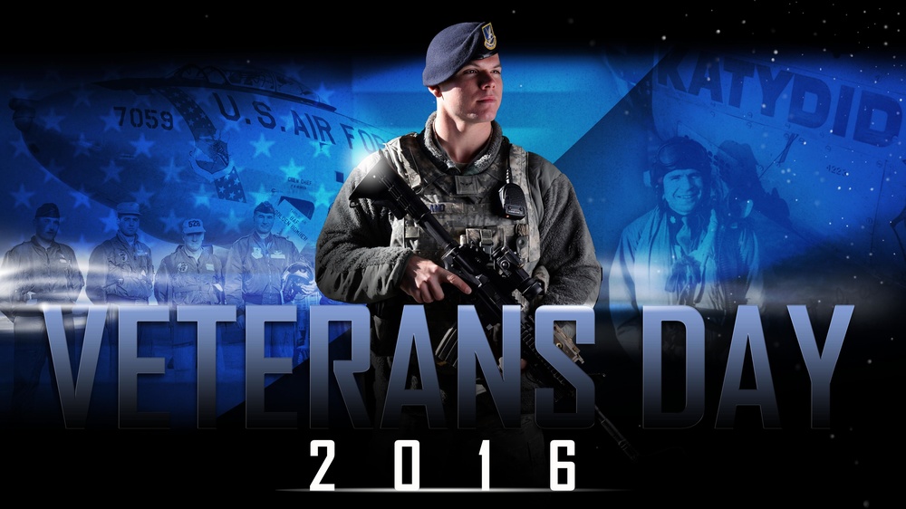 Veteran's Day Graphic