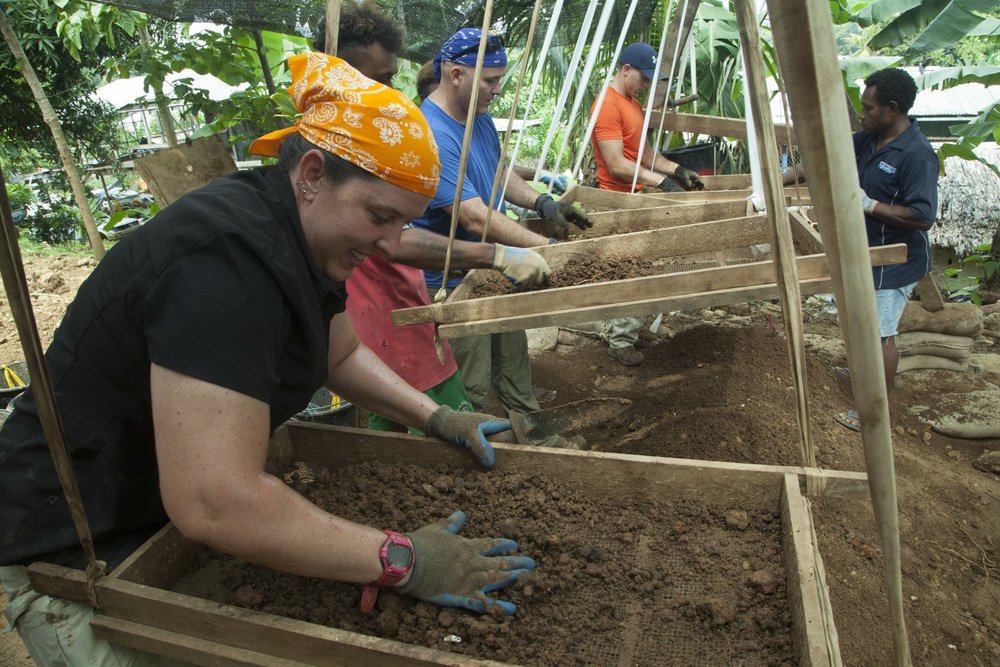 Solomon Islands recovery