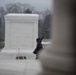 First Snow at the Tomb of the Unknown Soldier 2017