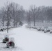 Snow falls in Arlington National Cemetery