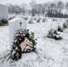 Snow falls in Arlington National Cemetery