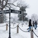 Snow falls in Arlington National Cemetery