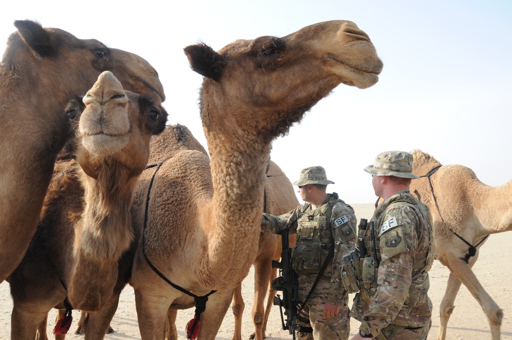 Patrol's unique desert mission