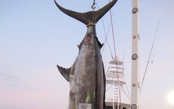 Flight surgeon lands the big one