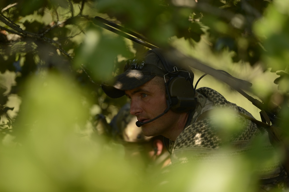 TACP 5-Level Training