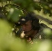 TACP 5-Level Training
