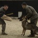Military Working Dog Operations