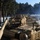 A column of M1 Abrams main battle tanks in desert tan/sand camouflage paint are lined up in a snow-dusted forested area, viewed from an elevated rear angle. The tanks appear to be staged or parked in formation along a cleared path between pine trees. The setting suggests a cold-weather military exercise or staging operation, likely in a European training environment.