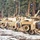 A column of M1 Abrams main battle tanks painted in desert tan/sand camouflage are lined up in a row on snow-covered ground. The tanks appear to be staged or parked in formation, likely at a military base or training area bordered by pine trees. The nearest tank has the name 'BRUTAL' stenciled on its gun barrel.