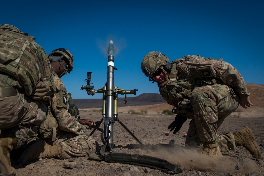 Soldiers train in Djibouti