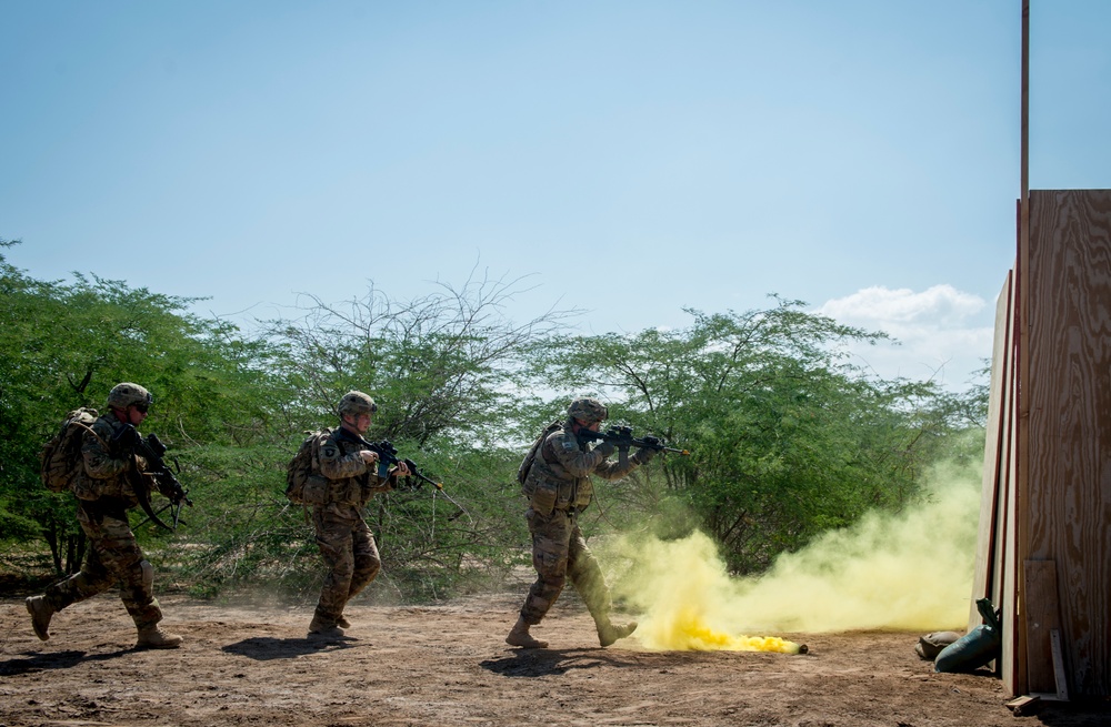 Soldiers train in Djibouti