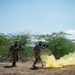 Soldiers train in Djibouti