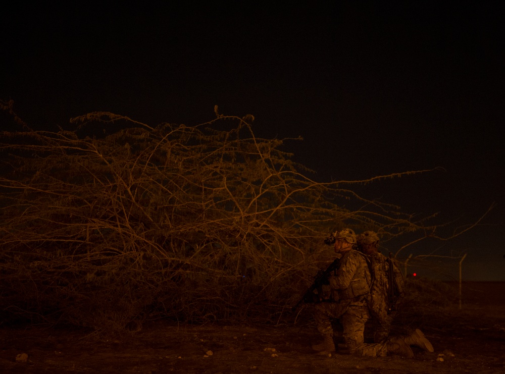 Soldiers train in Djibouti