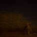 Soldiers train in Djibouti
