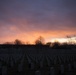 Sunrise over Arlington National Cemetery