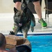 Deployed 380 ESFS Military Working Dogs develop, detect, deter, defend