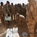 ISF counter-IED training